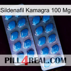 Sildenafil Kamagra 100Mg viagra2